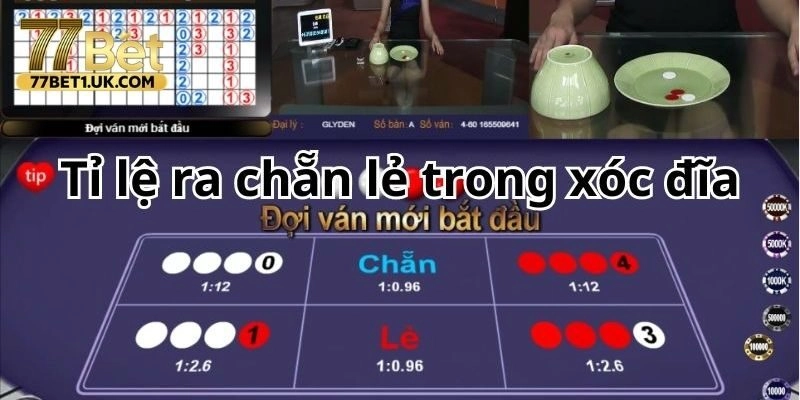 Mẹo Hay Tính Tỷ Lệ Chẵn Lẻ Trong Xóc Đĩa Tại Nhà Cái 77BET!